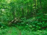 #3 TBD Lotties Creek Road - Photo 3