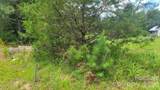 000 Riverview Road - Photo 4