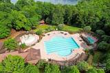10717 Wildlife Road - Photo 14