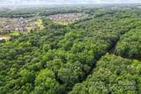 10717 Wildlife Road - Photo 7