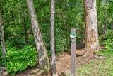 52 Dividing Ridge Trail - Photo 19