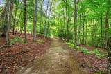 52 Dividing Ridge Trail - Photo 4
