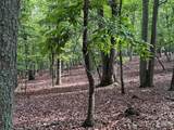 1695 Sierra Trace Road - Photo 3