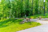 2A Ventosa Drive - Photo 5