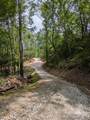 313 Line Runner Ridge Road - Photo 11