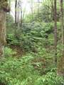 313 Line Runner Ridge Road - Photo 12