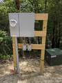 313 Line Runner Ridge Road - Photo 20