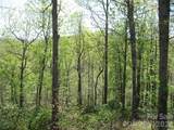 313 Line Runner Ridge Road - Photo 23