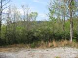 313 Line Runner Ridge Road - Photo 4