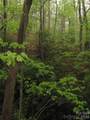 313 Line Runner Ridge Road - Photo 33