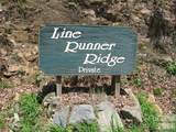 313 Line Runner Ridge Road - Photo 36