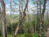 313 Line Runner Ridge Road - Photo 6
