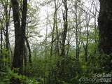 313 Line Runner Ridge Road - Photo 10