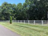 6639 Joli Cheval Lane - Photo 8