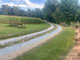 3513 Gilboa Road - Photo 11