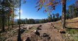 TBD Nicholas Knoll Road - Photo 17