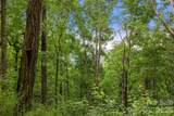 99999 Little Pisgah Road - Photo 3