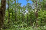 99999 Little Pisgah Road - Photo 8