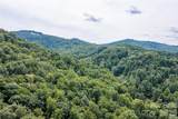226 Wildcat Mountain Trail - Photo 38