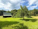 226 Wildcat Mountain Trail - Photo 39