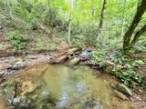 226 Wildcat Mountain Trail - Photo 7