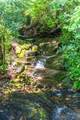 238 Falling Water Drive - Photo 47