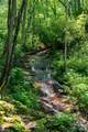 238 Falling Water Drive - Photo 6