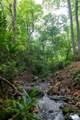 238 Falling Water Drive - Photo 8