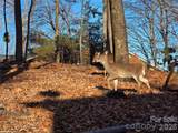 10 Chestnut Ridge Road - Photo 42