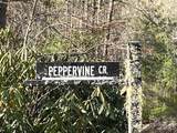 0000 Peppervine Circle - Photo 4