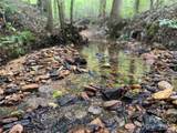 0 Camp Mccall Road - Photo 2