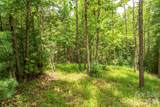 LOT 46 Black Forest Drive - Photo 9