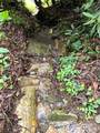 1145 Bearwallow Mountain Road - Photo 41