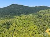 1220 Skyuka Mountain Road - Photo 23