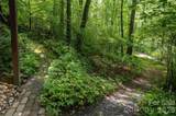 300 Sweet Birch Lane - Photo 33