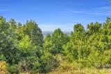 3605 Skyuka Mountain Road - Photo 29