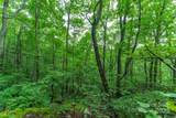 TBD Summer Haven Road - Photo 11