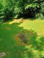 48 Buck Ridge Road - Photo 34