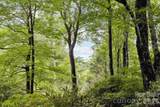 19 High Terrain Drive - Photo 45