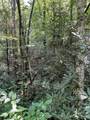 0 Poplar Drive - Photo 5