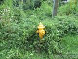 3 Belgium Lane - Photo 4