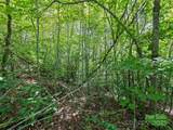 Lot #46 Hazel Hollow Drive - Photo 10