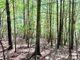 3.31 acres, Lot 37 Poplar Bluff Drive - Photo 12