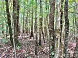 3.31 acres, Lot 37 Poplar Bluff Drive - Photo 13