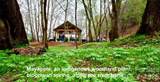 3.31 acres, Lot 37 Poplar Bluff Drive - Photo 29