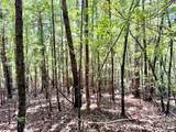 3.31 acres, Lot 37 Poplar Bluff Drive - Photo 9