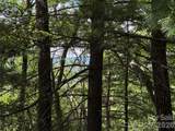 TBD Hickory Hollow Road - Photo 8