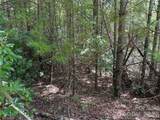 TBD Staghorn Road - Photo 12