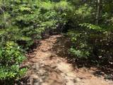 TBD Staghorn Road - Photo 9