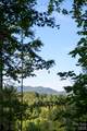 2340 Twin Poplars Lane - Photo 9